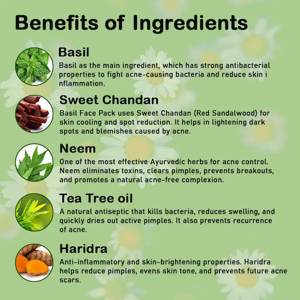 anti pimple basil face pack for clear skin